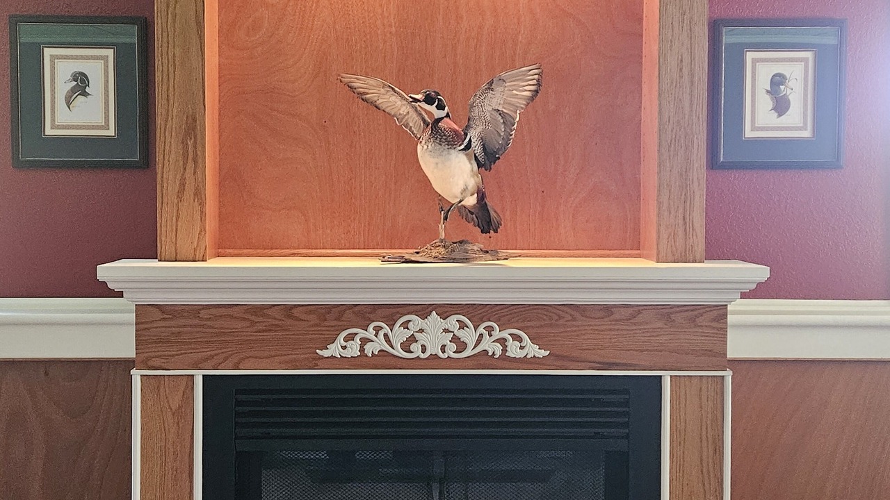 Photo of Livingroom in Medford