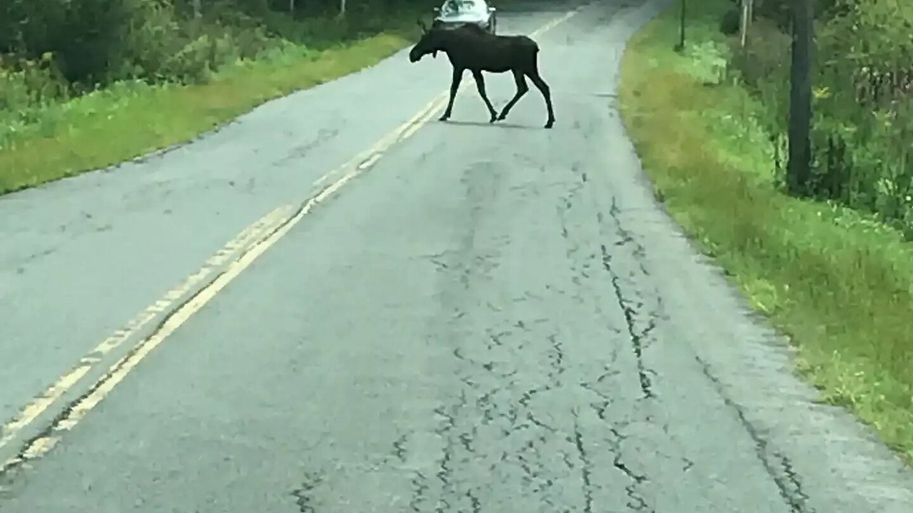 Photo of Others in Mayfield