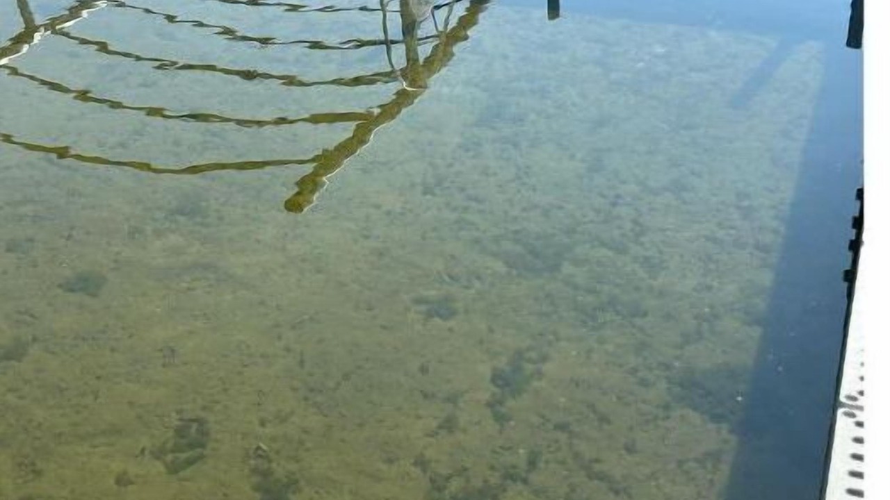 Photo of Others in Shell Lake