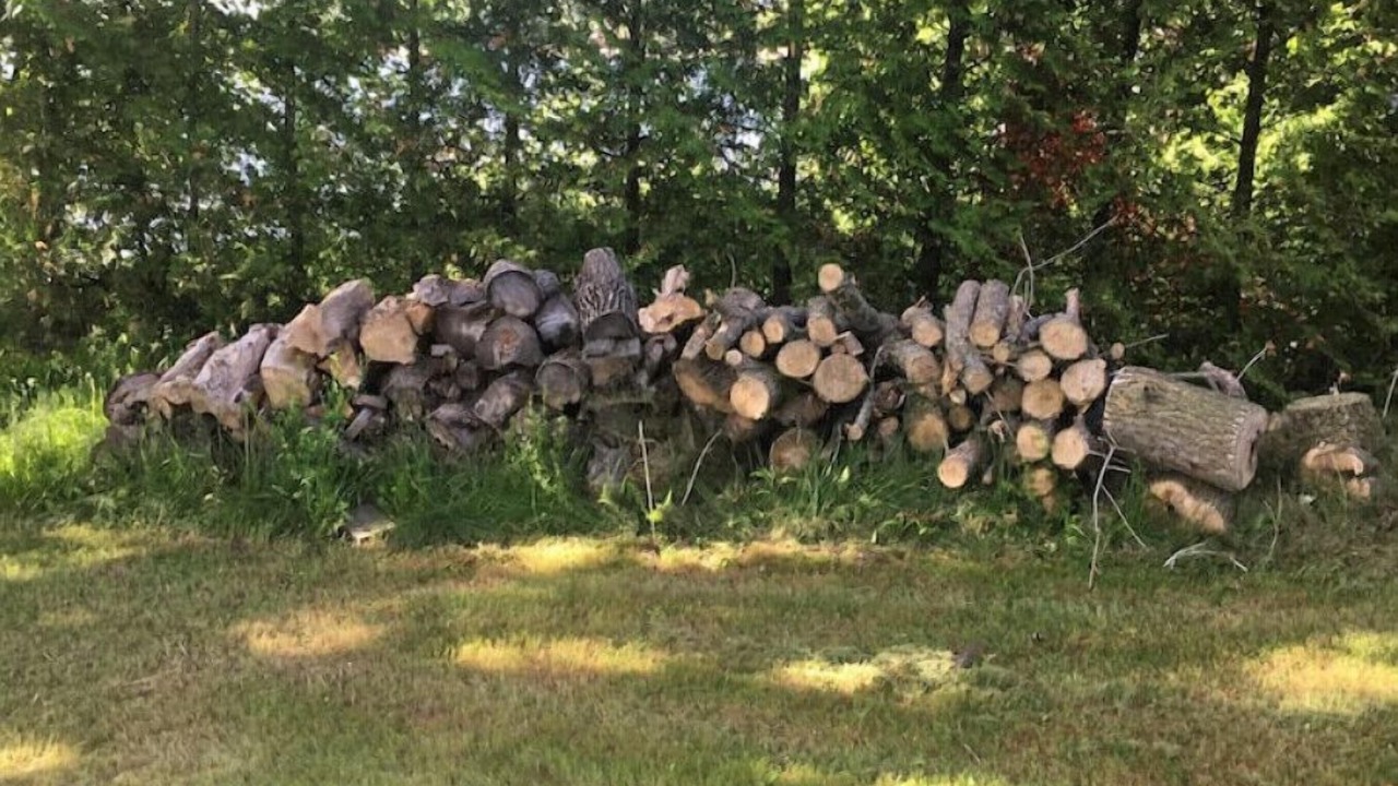 Photo of Outdoor in Alburg
