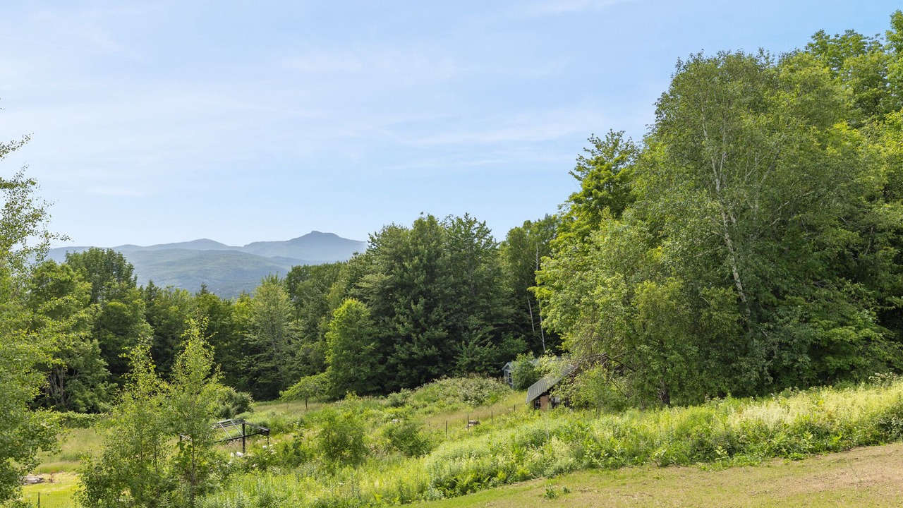 Photo of Outdoor in Waterbury Center