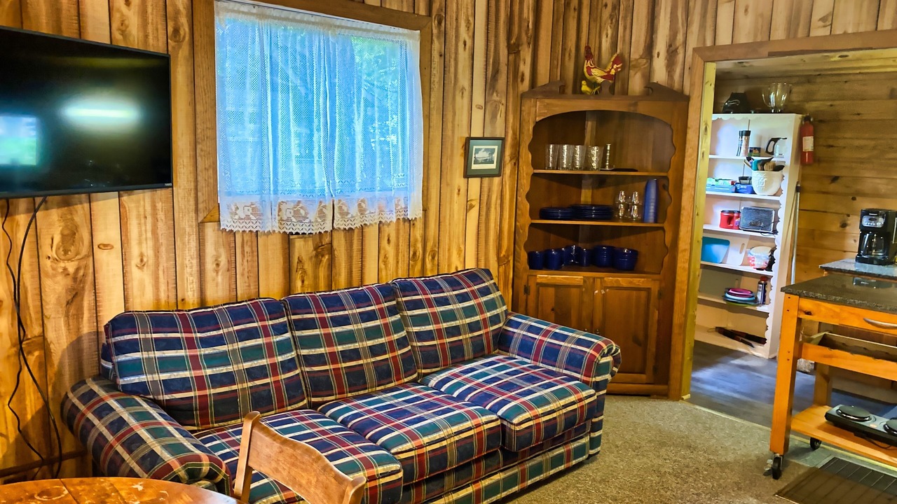 Photo of Livingroom in Long Lake