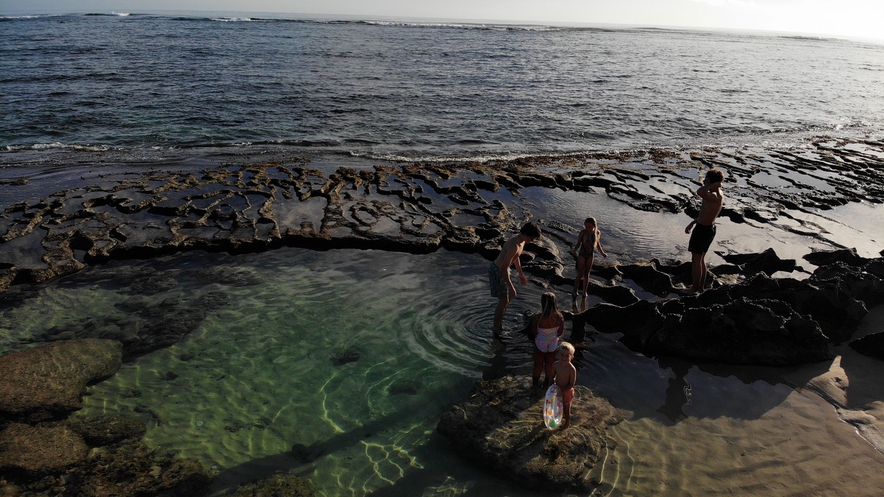 Photo of Others in Laie
