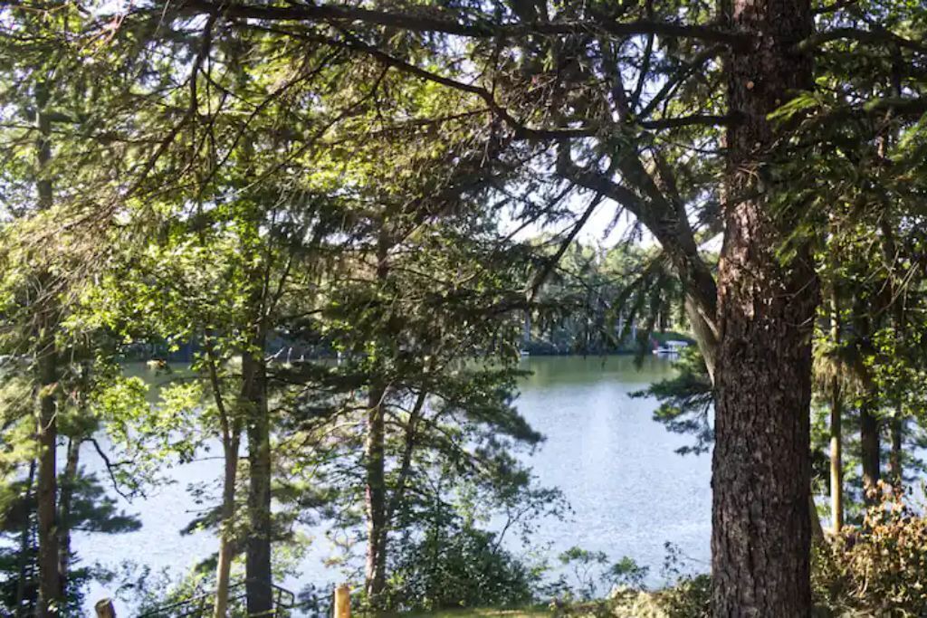 Photo of Outdoor in Mikana