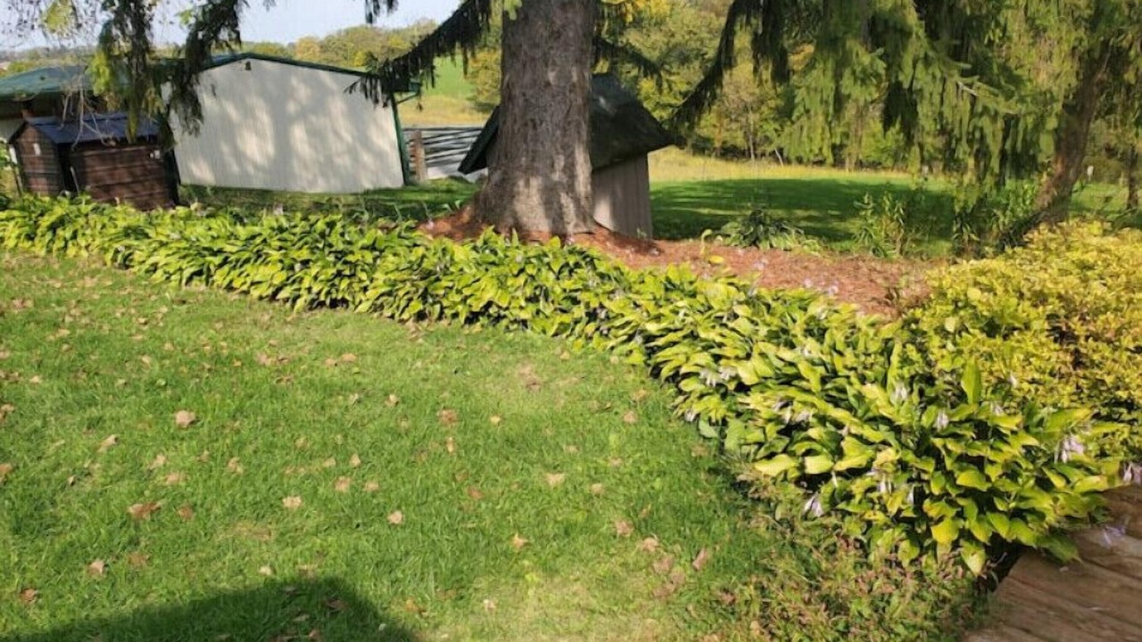 Photo of Outdoor in Crawford County