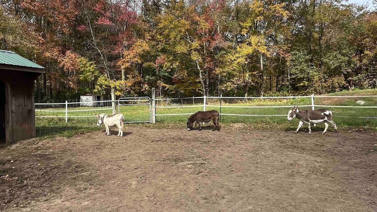Photo of Outdoor in Brimfield