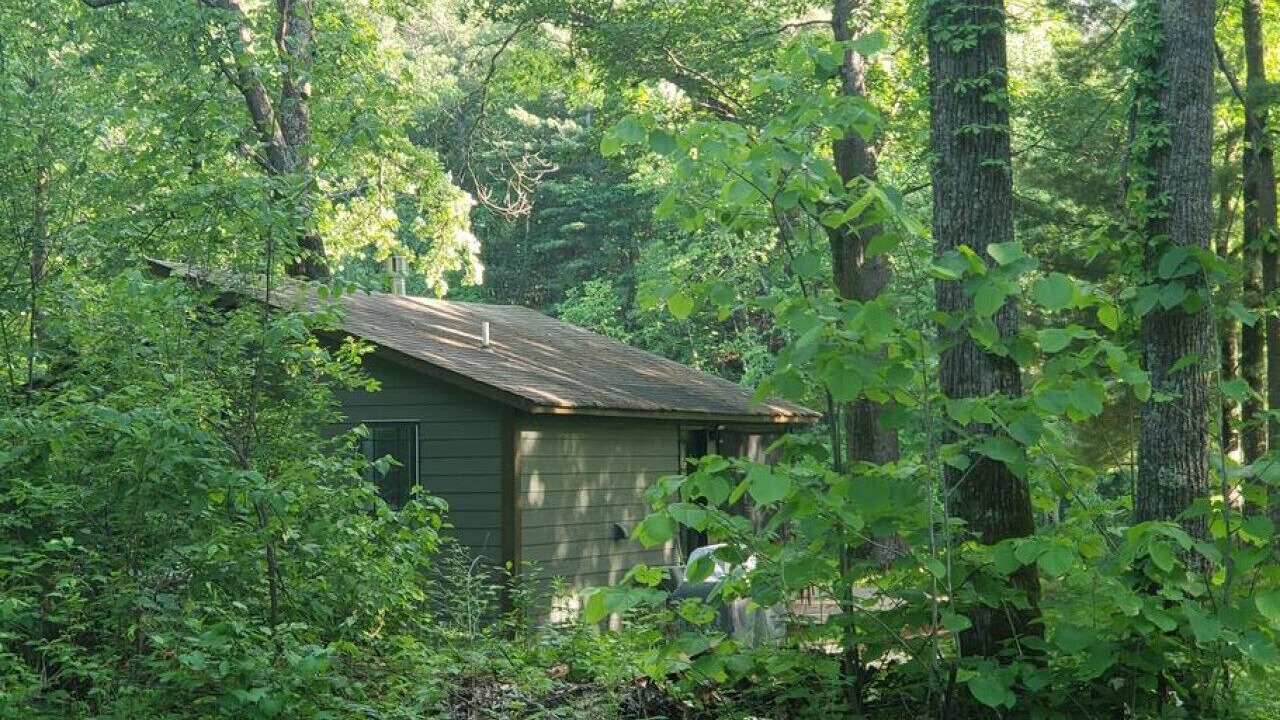 Photo of Others in Pine City