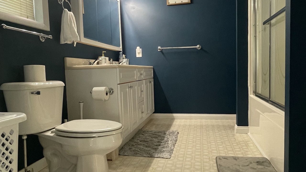 Photo of Bathroom in White Pigeon