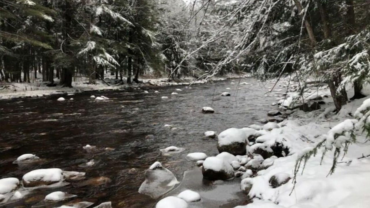 Photo of Outdoor in Glenfield