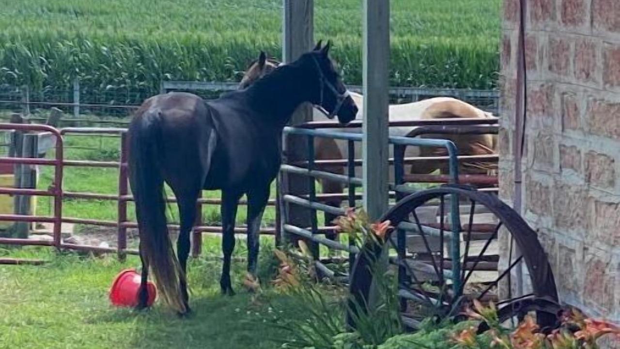 Photo of Outdoor in Rushford