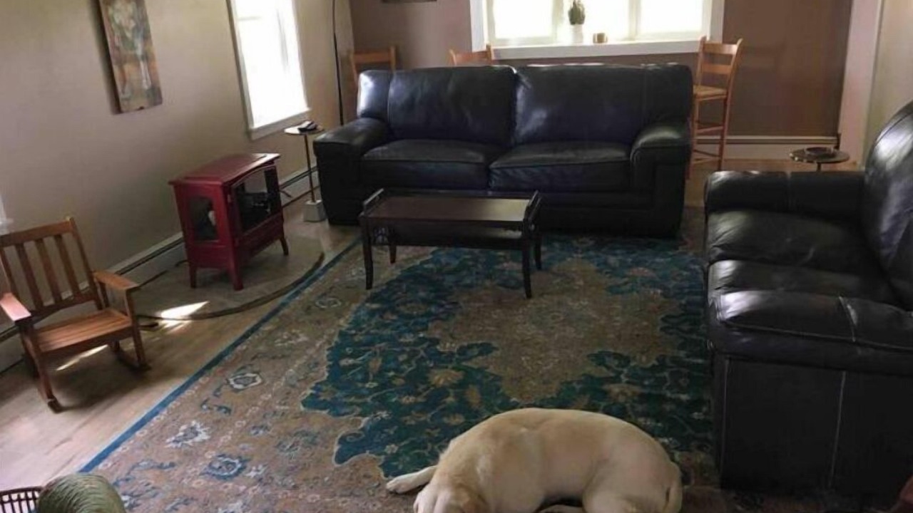 Photo of Livingroom in Rushford