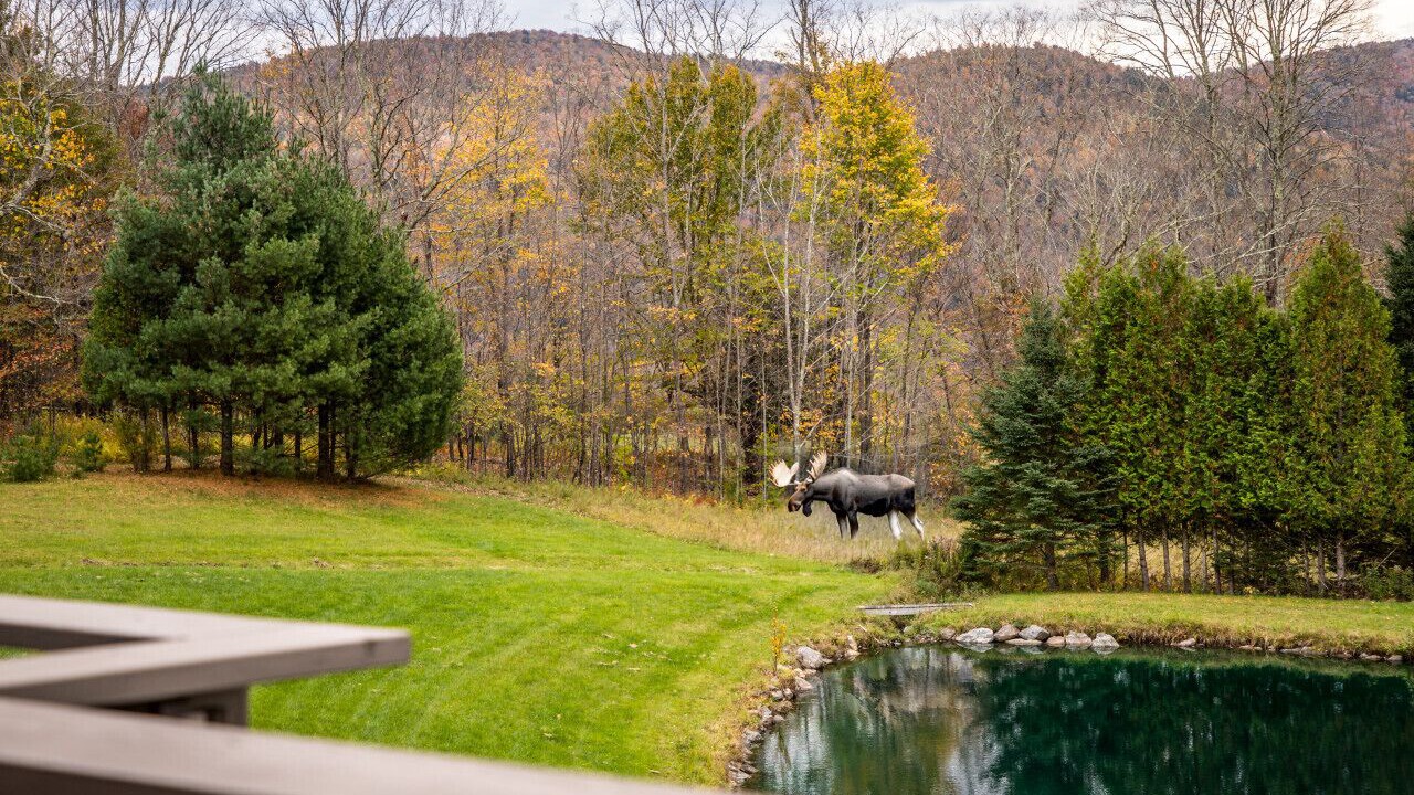 Photo of Outdoor in Pittsfield