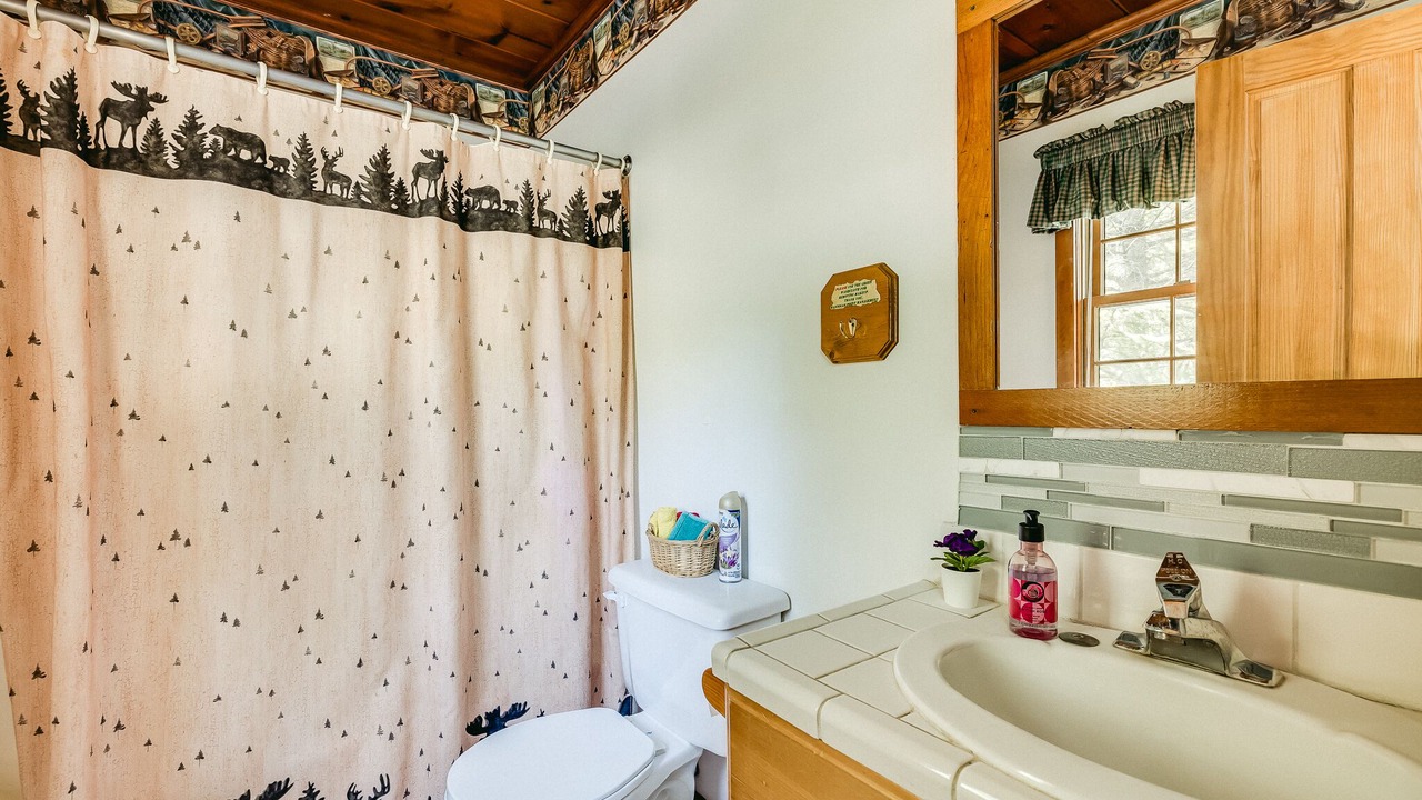Photo of Bathroom in Taylors Falls