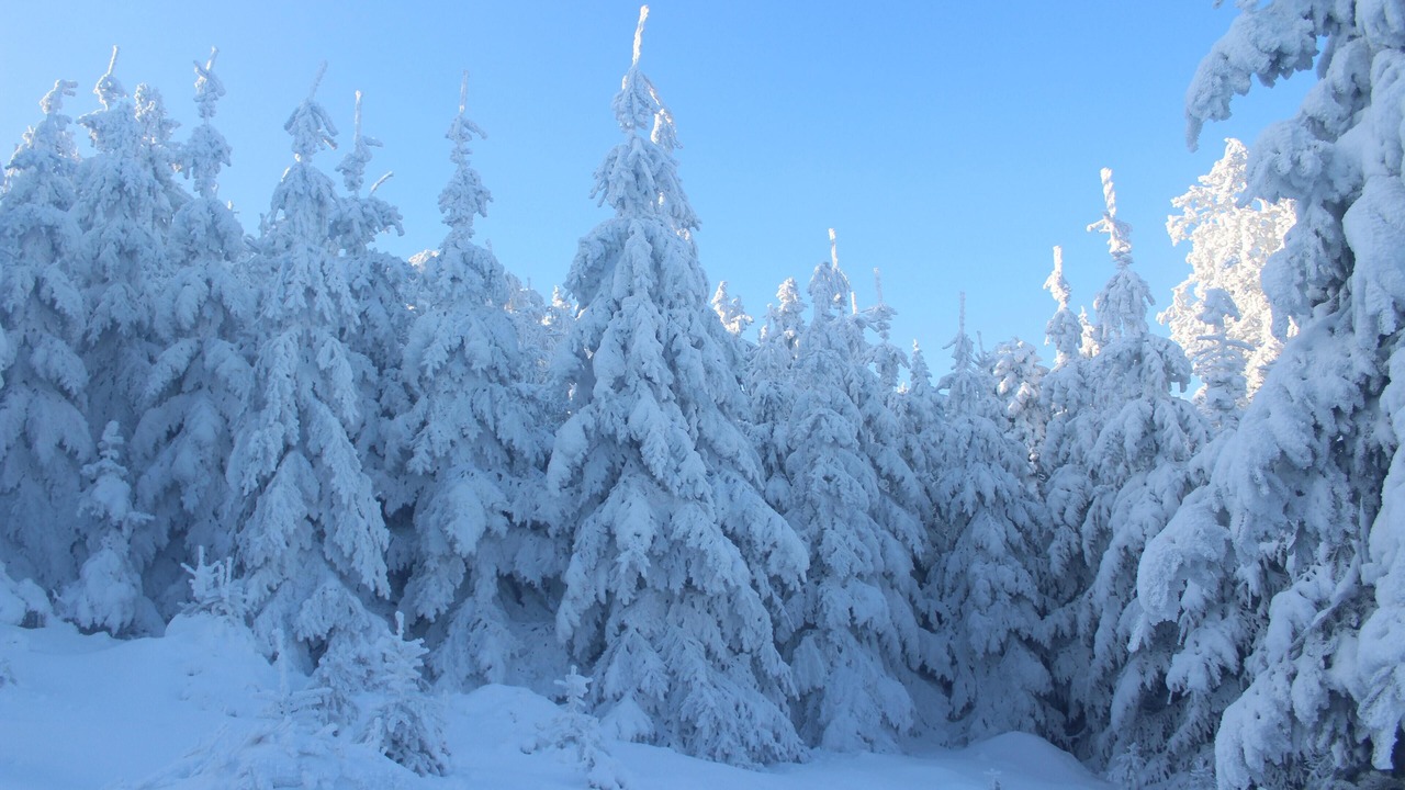 Photo of Outdoor in Angel Fire