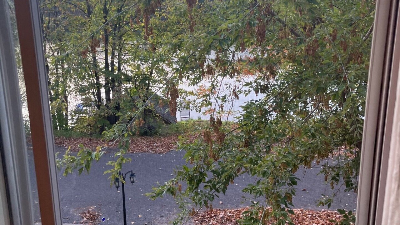 Photo of Others in Stone Lake