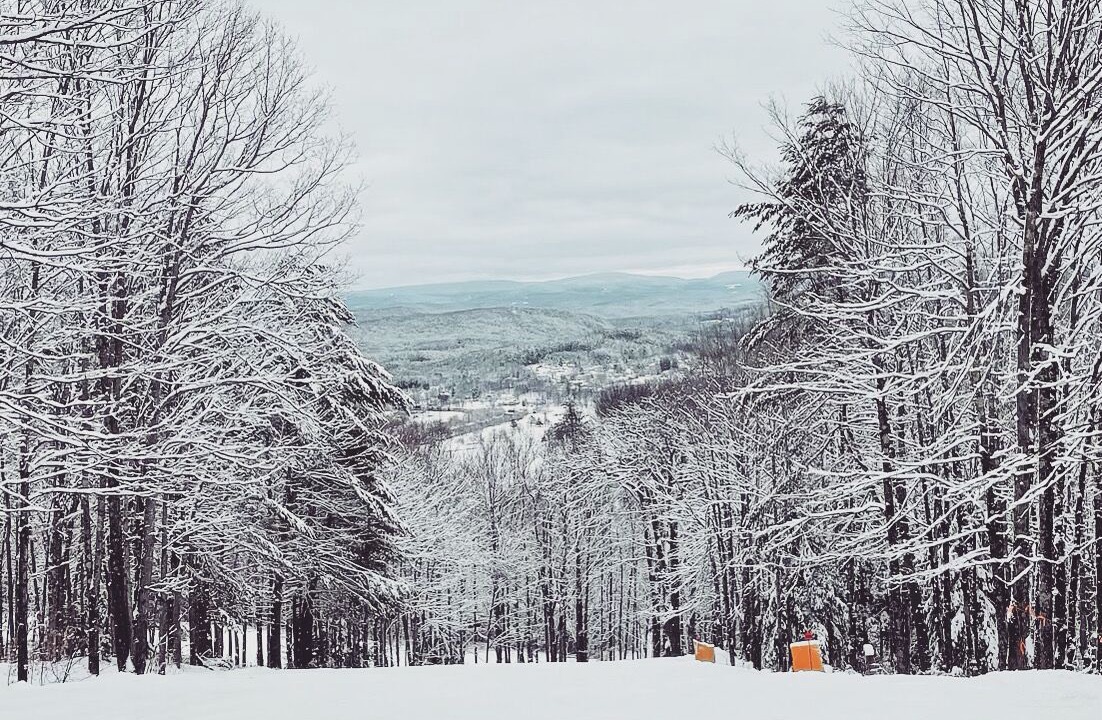 Photo of Others in West Hartford