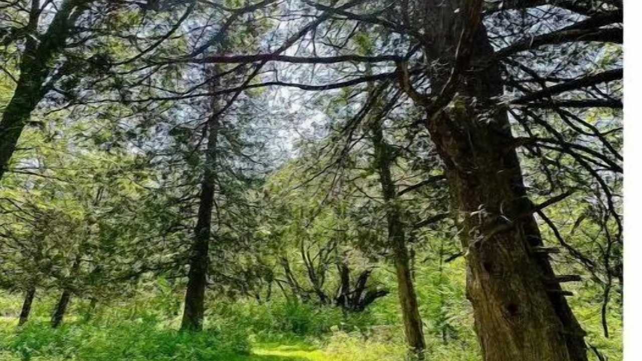 Photo of Outdoor in Osceola