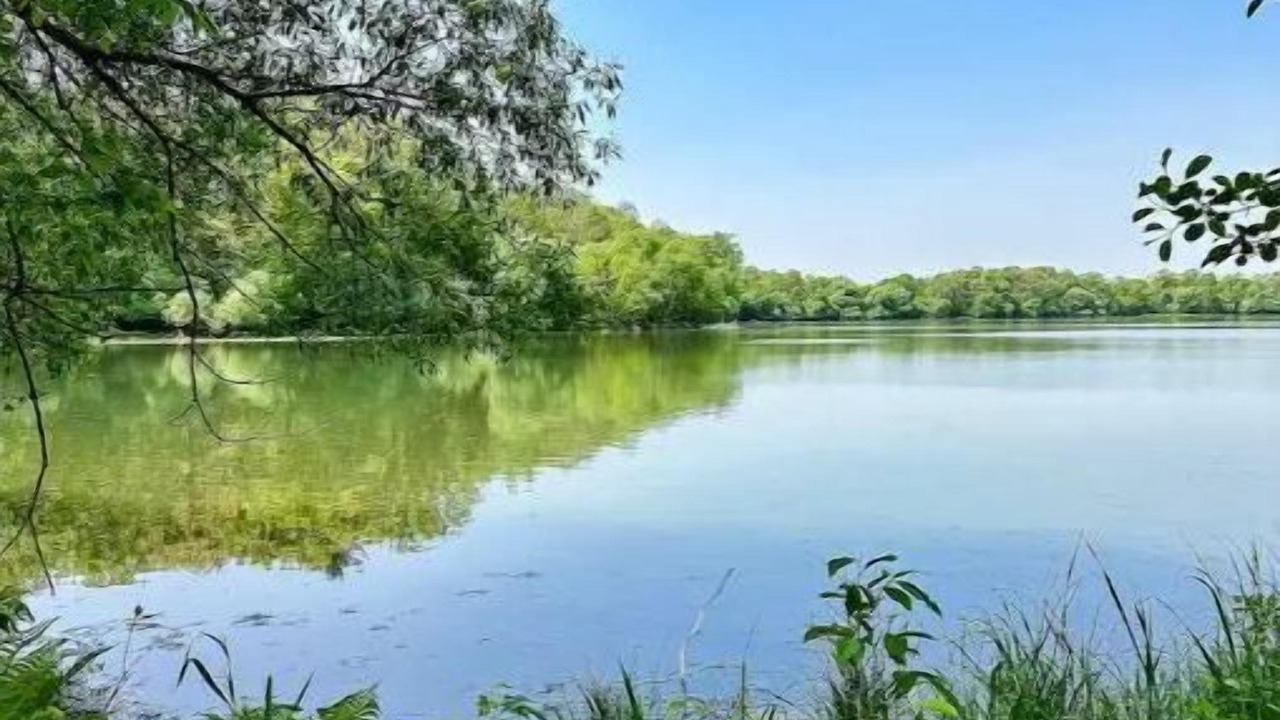 Photo of Outdoor in Osceola