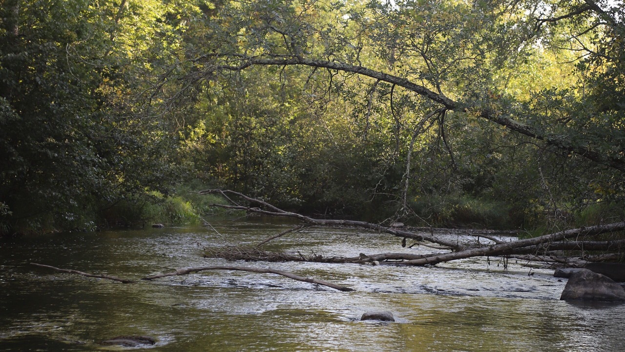 Photo of Others in Fifty Lakes