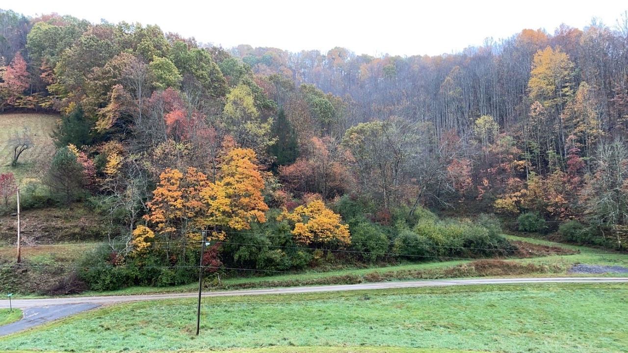 Photo of Outdoor in Saulsville