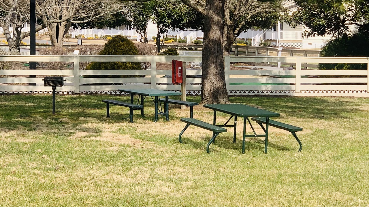 Photo of Others in Berkeley