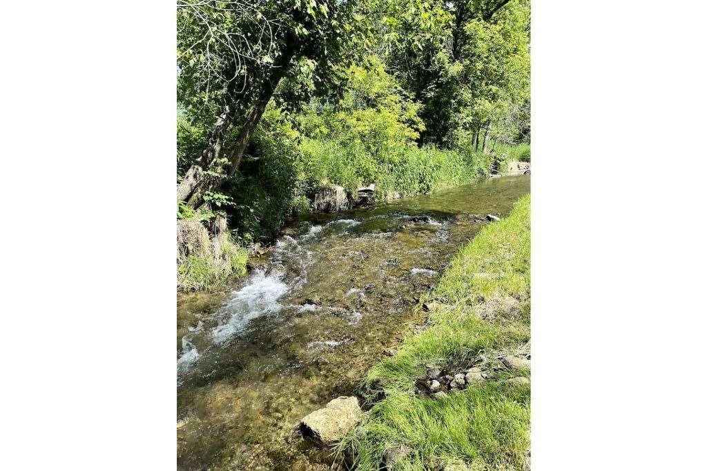 Photo of Outdoor in Westby