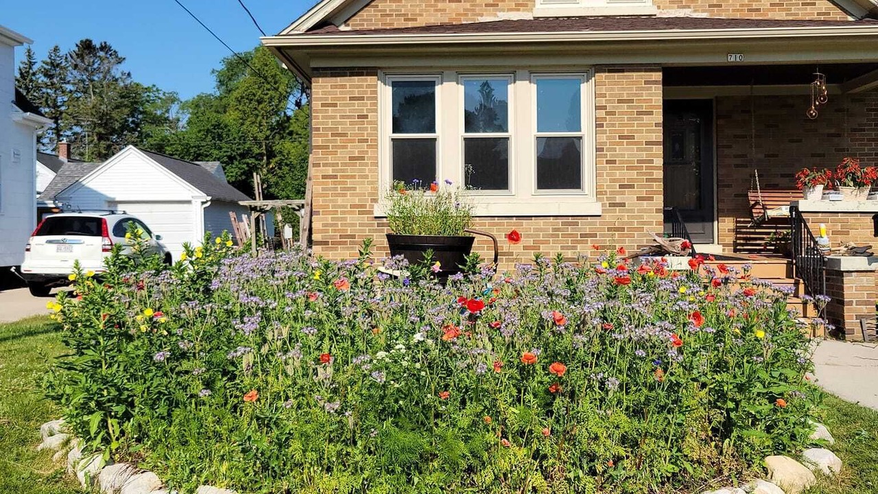 Photo of Outdoor in Manitowoc