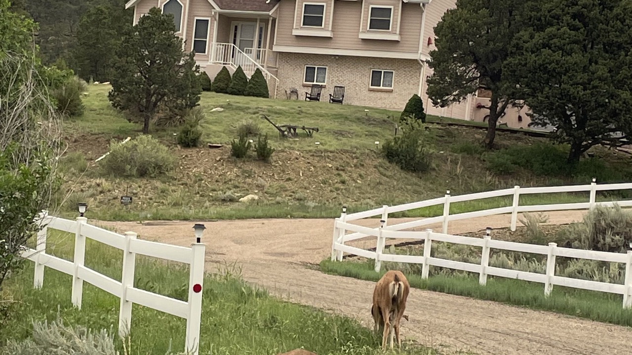 Photo of Outdoor in Raton