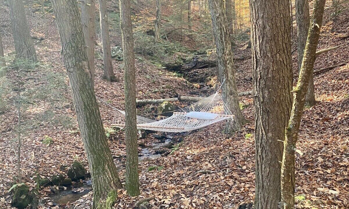 Photo of Others in Middle Grove
