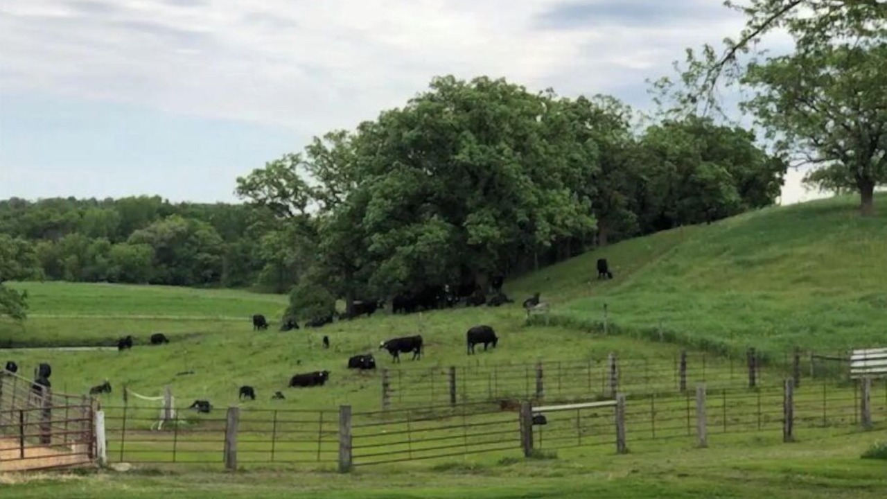 Photo of Others in Spring Valley