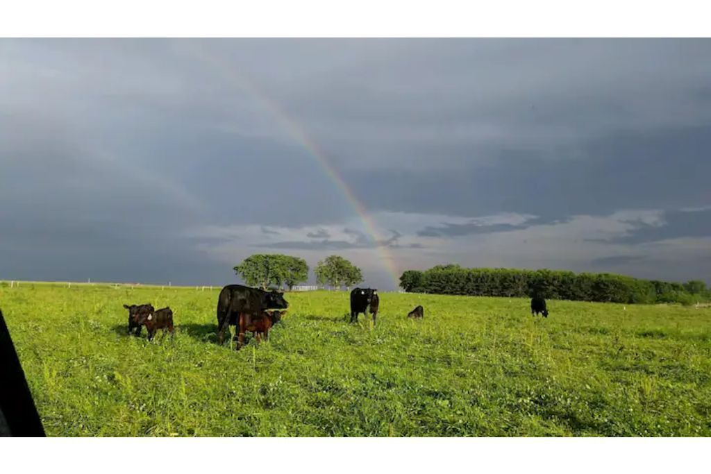 Photo of Outdoor in Spring Valley