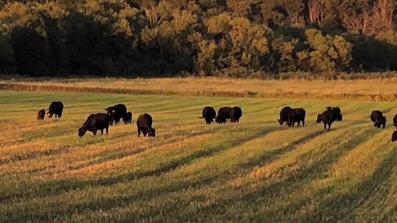 Photo of Outdoor in Spring Valley