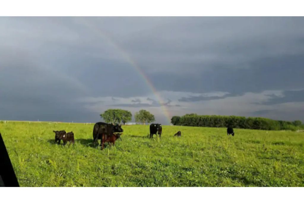 Photo of Others in Spring Valley