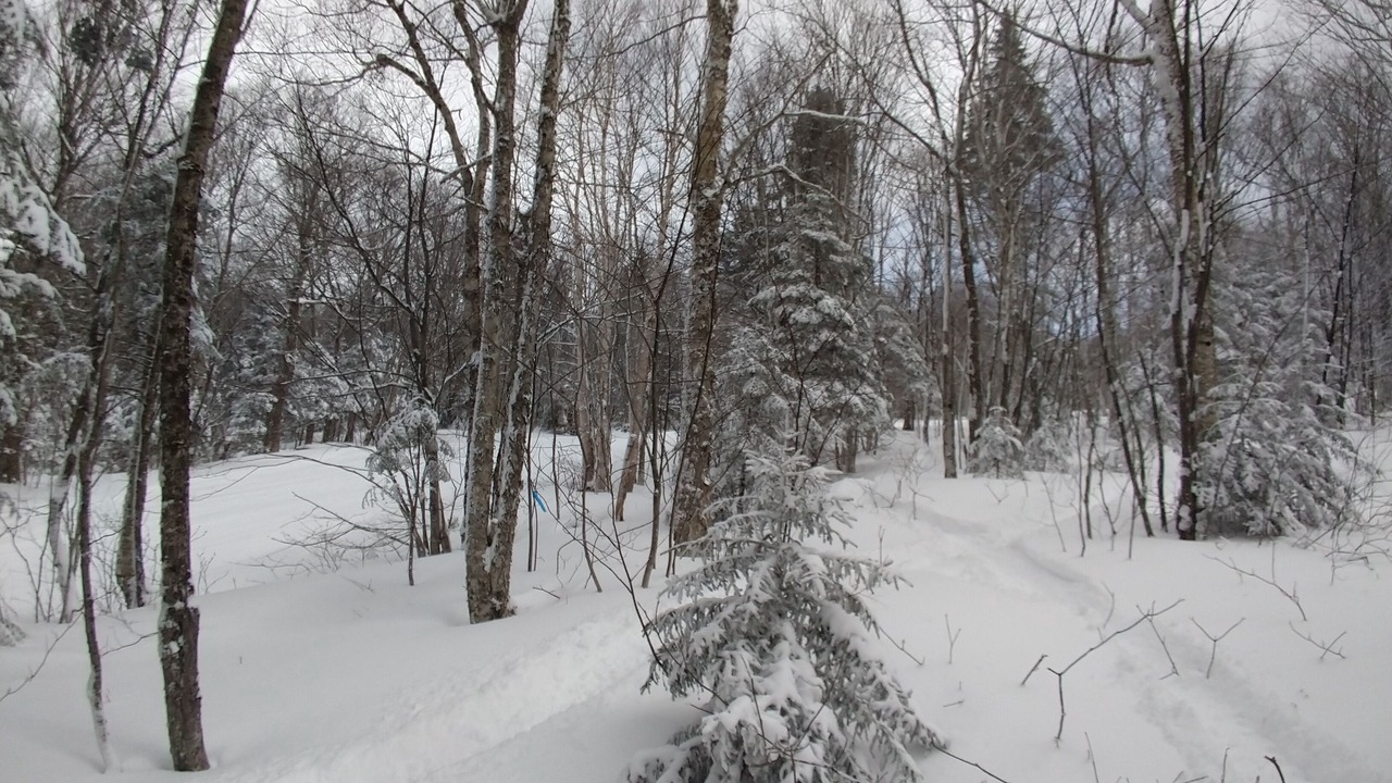 Photo of Others in Bolton Valley