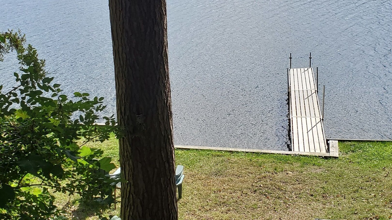 Photo of Others in Maryland