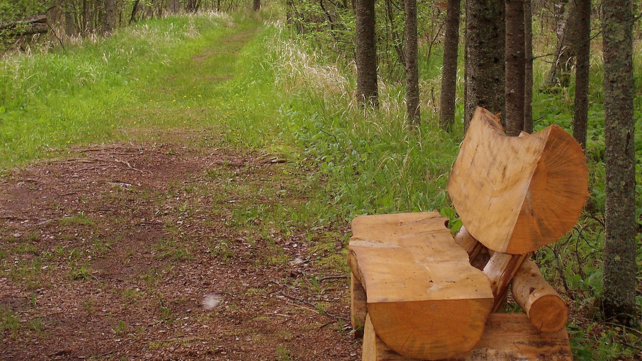 Photo of Outdoor in South Range