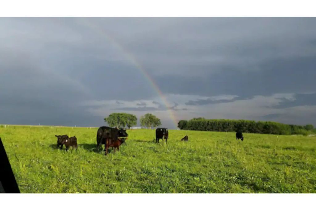 Photo of Outdoor in Fillmore County