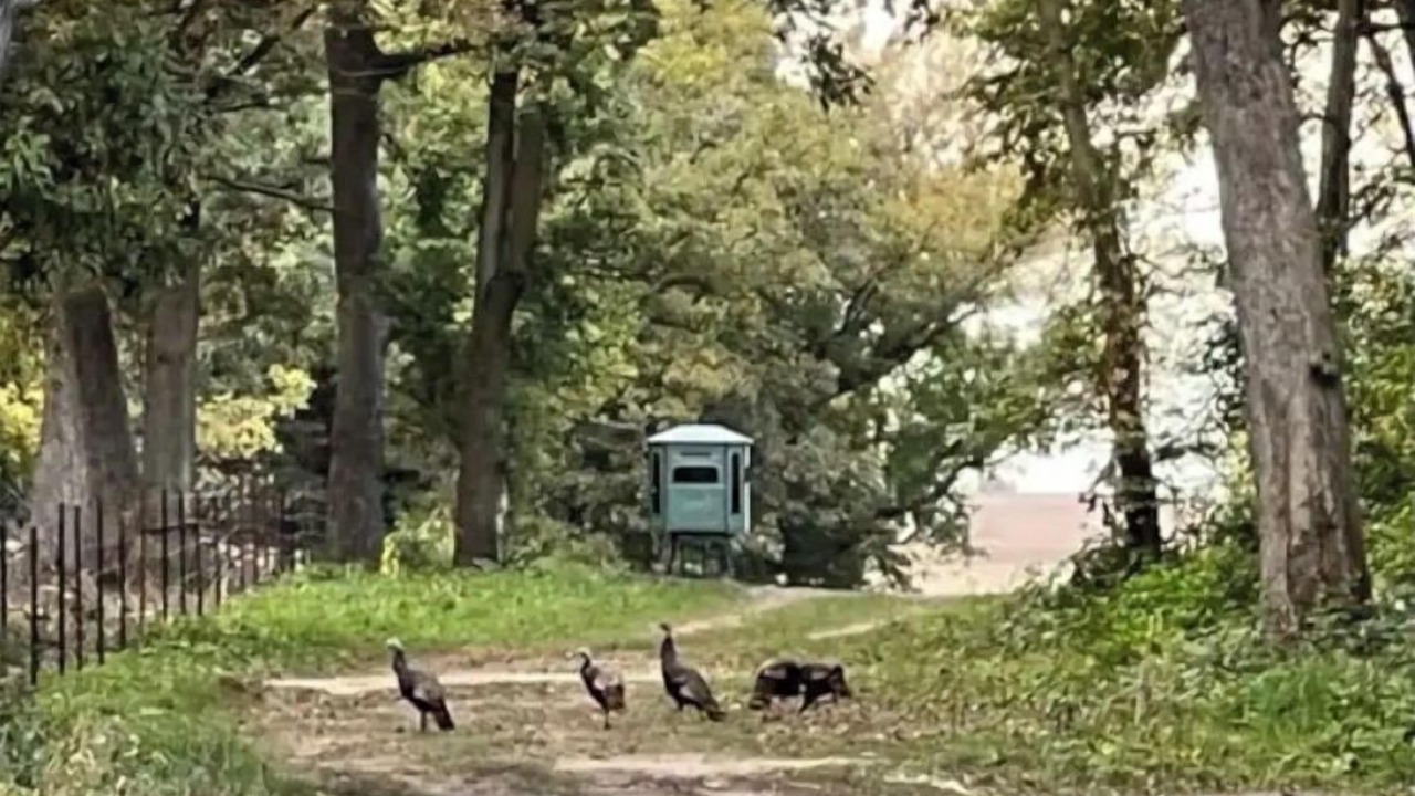 Photo of Outdoor in Fillmore County
