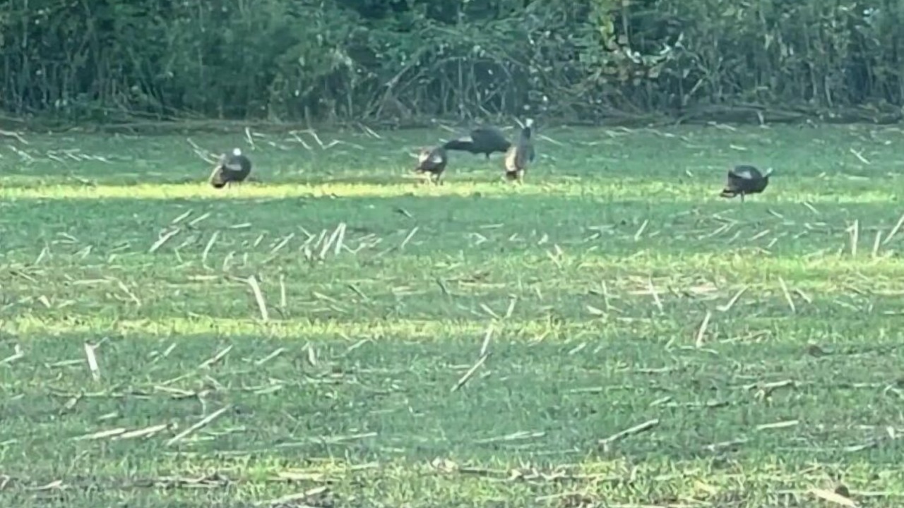 Photo of Others in Fillmore County