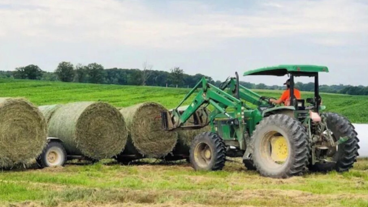 Photo of Others in Fillmore County