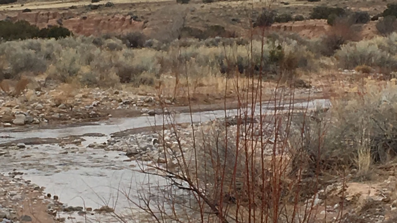 Photo of Others in Abiquiu