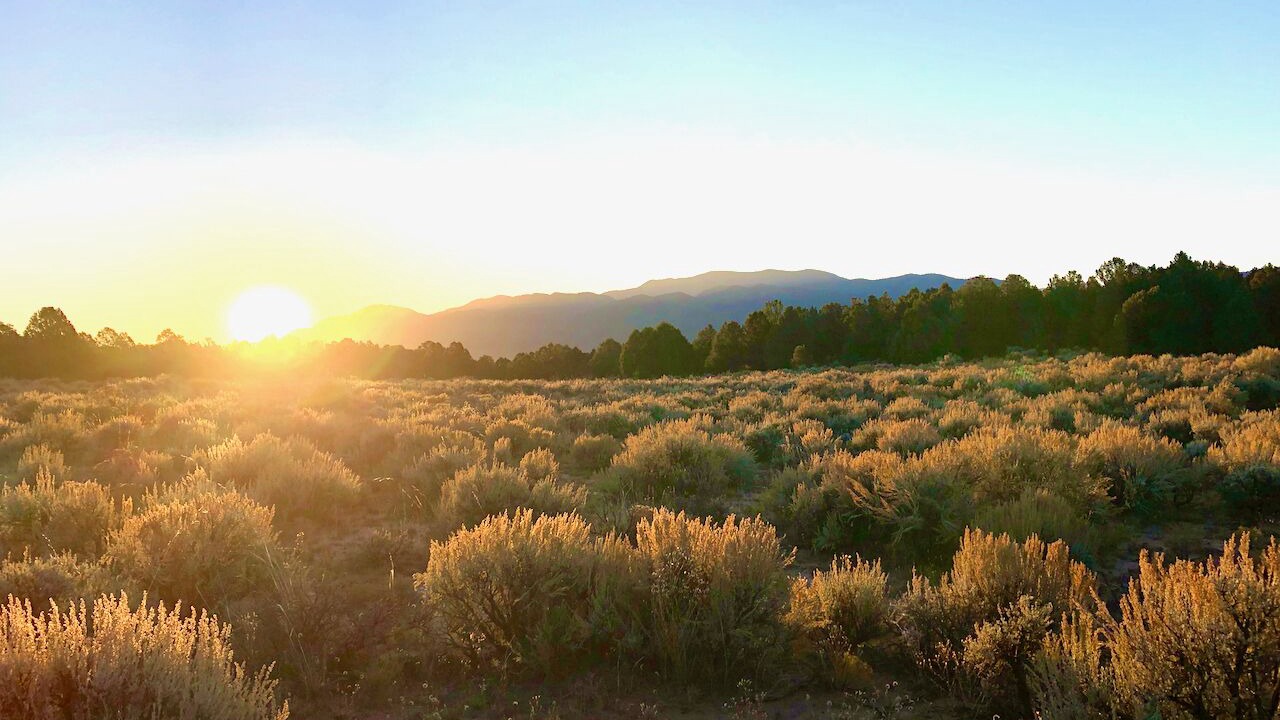 Photo of Outdoor in Carson