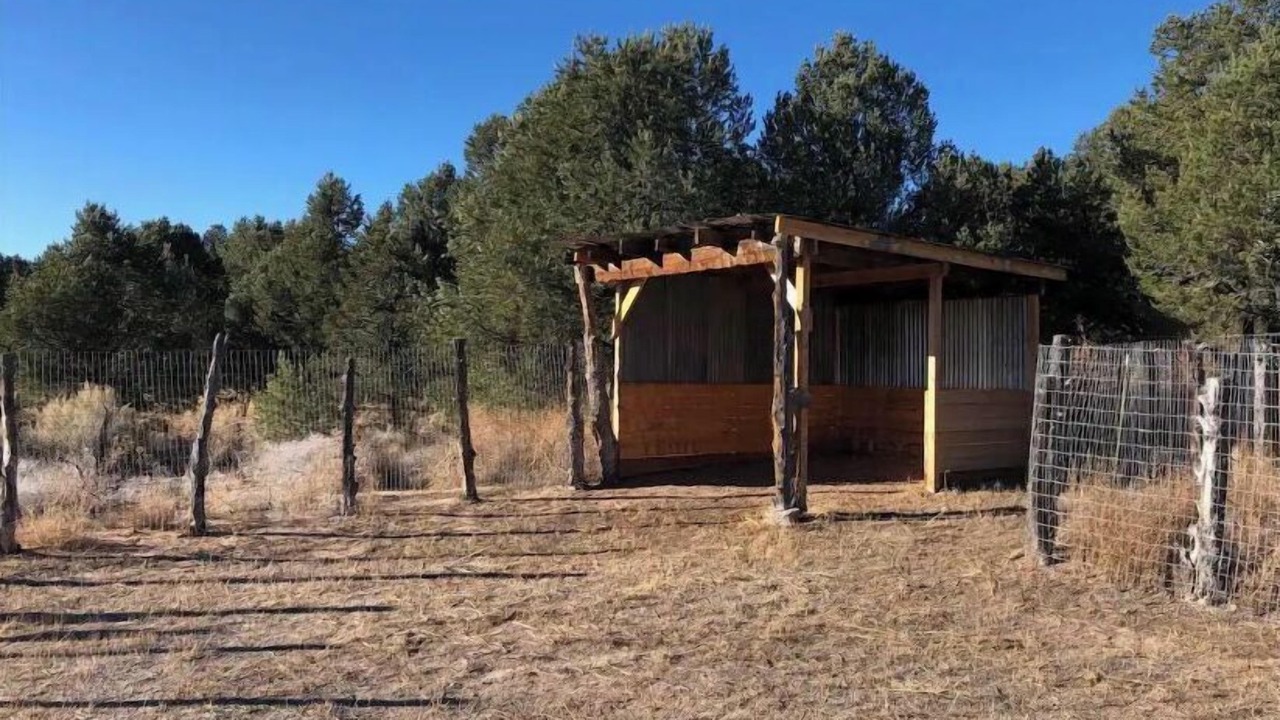 Photo of Outdoor in Carson