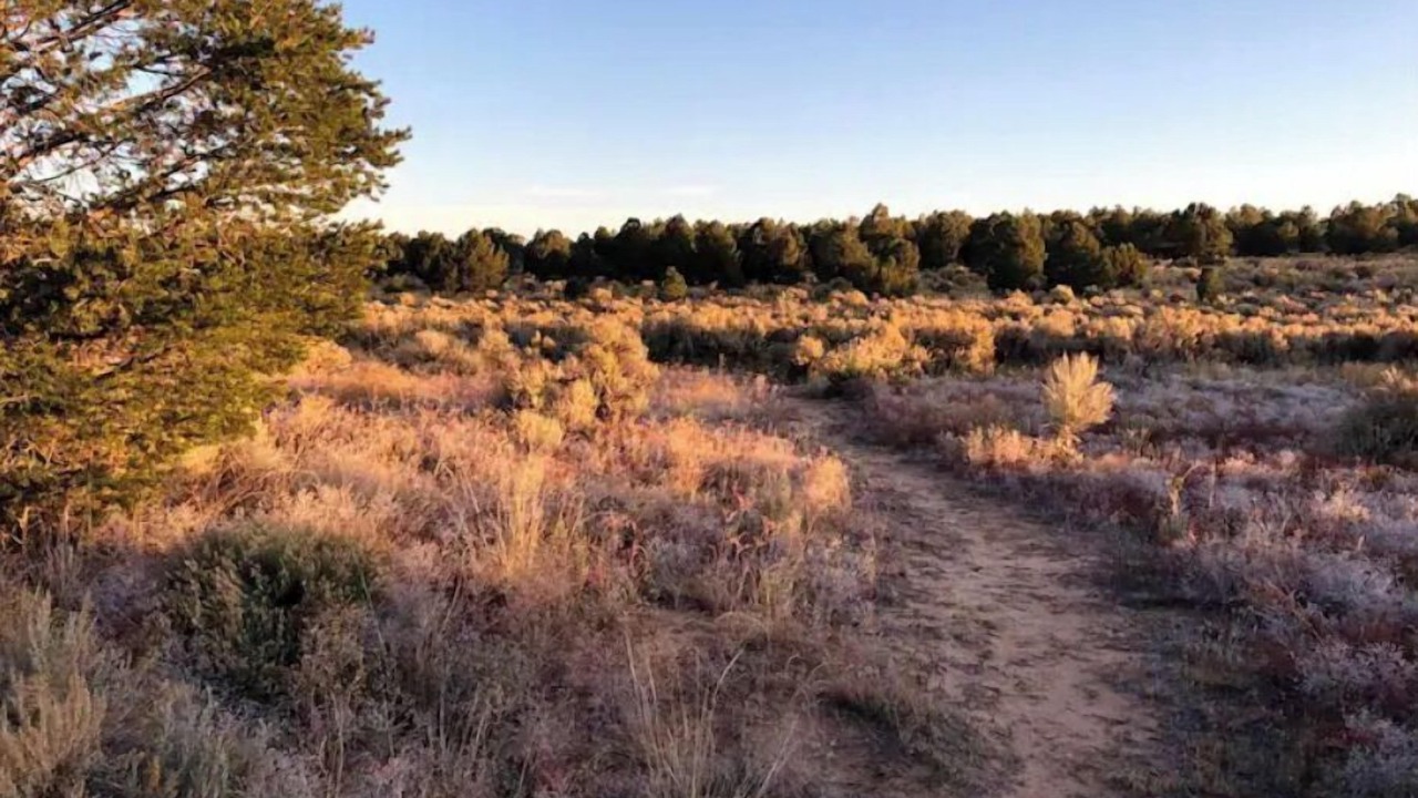 Photo of Outdoor in Carson