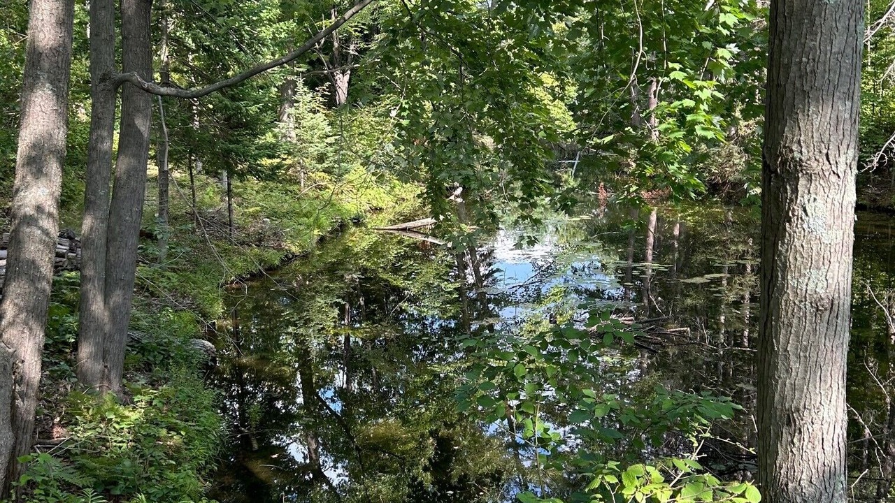 Photo of Outdoor in Holcombe