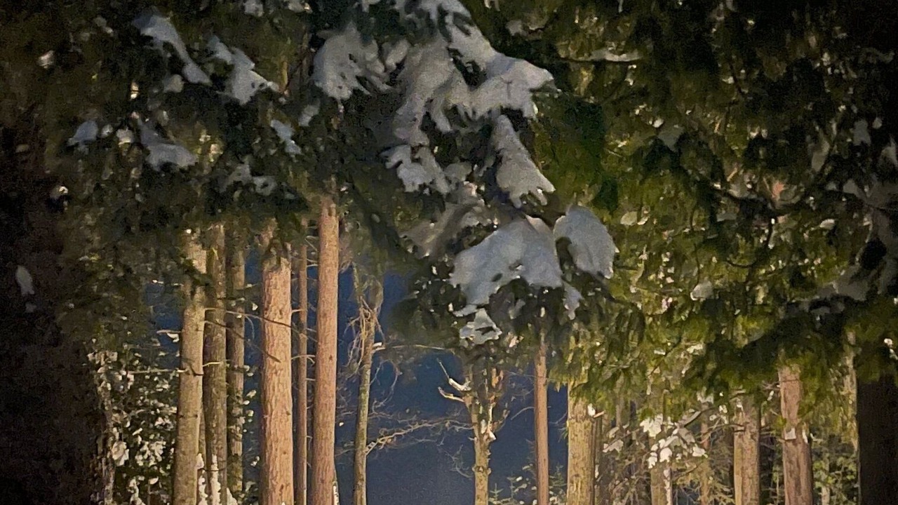 Photo of Others in Iron River
