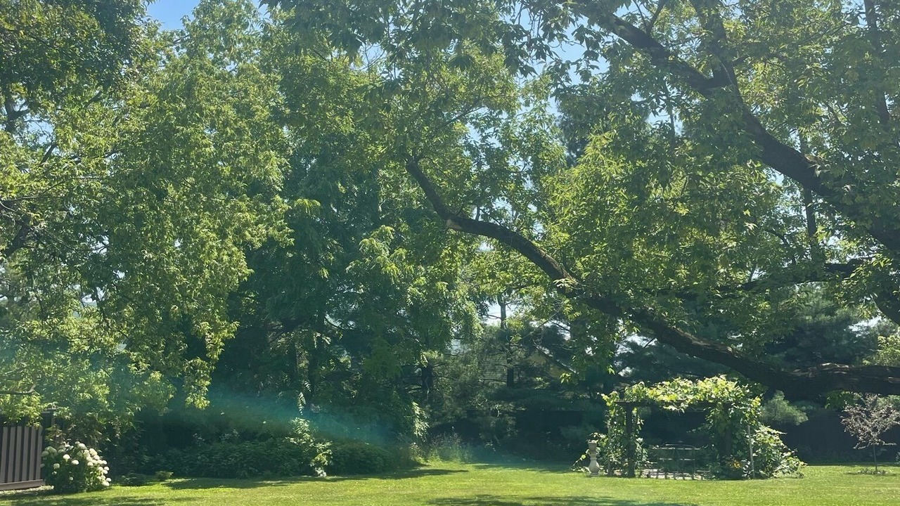 Photo of Outdoor in St. Albans