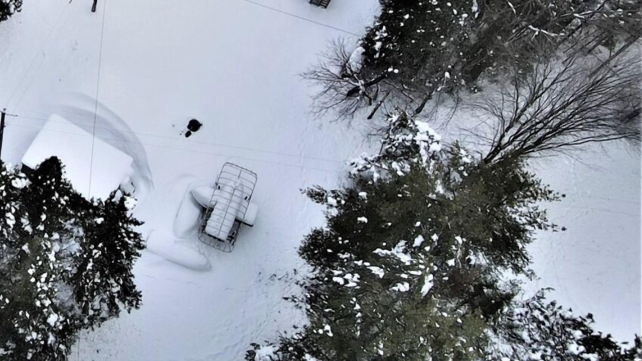 Photo of Others in Phillips
