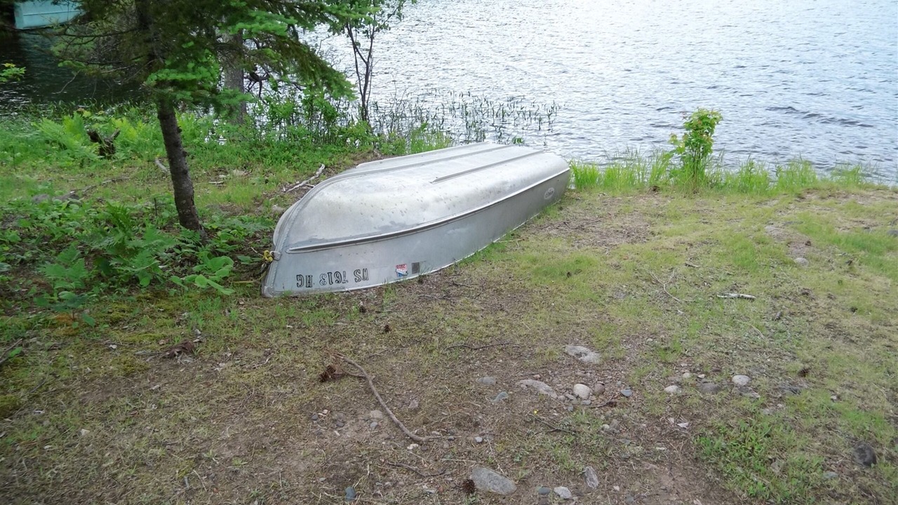 Photo of Outdoor in Park Falls