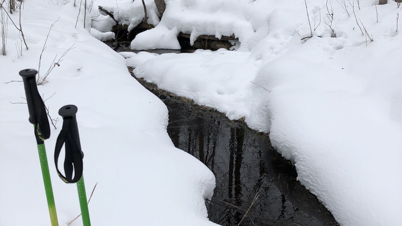 Photo of Outdoor in Pine River